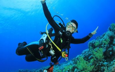 Plongée nocturne à l’Île Maurice : une expérience unique