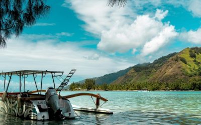 Vie locale à Port-Louis : découvrir l’Île Maurice autrement