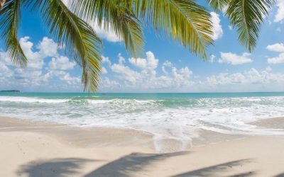 Voyage à Grand Baie : guide complet pour profiter au maximum