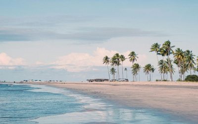 Île Maurice ou République dominicaine : quelle destination choisir ?