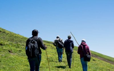 Excursions en famille à l’île Maurice: aventures inattendues entre nature et découvertes