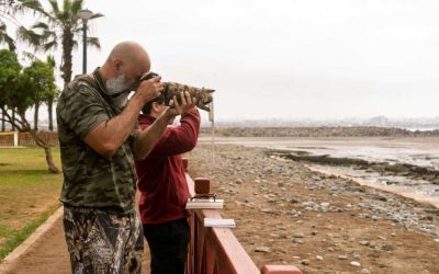Observation des oiseaux à l’île Maurice: où admirer les espèces rares de l’île
