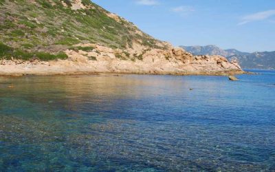 Îles secrètes de l’Île Maurice : où trouver des plages préservées ?