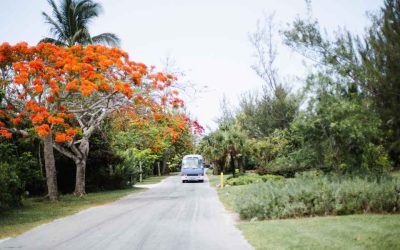 Road trip Île Maurice : quels paysages paradisiaques découvrir absolument cette année ?