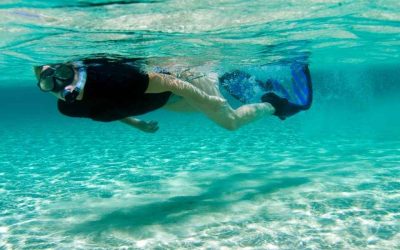 Spots snorkeling Île Maurice : où admirer les plus beaux récifs marins ?