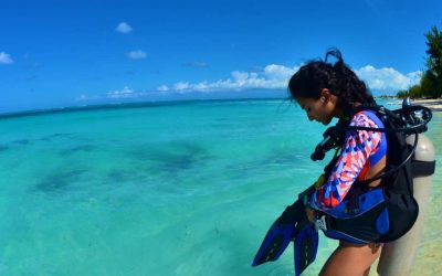 Meilleure période plongée Île Maurice : quand partir pour conditions idéales ?